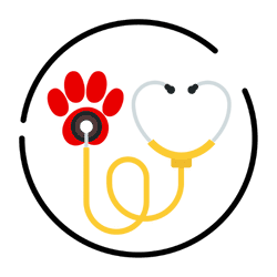 Bonded and Insured