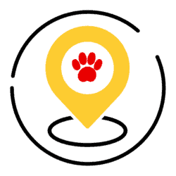 GPS tracked walks