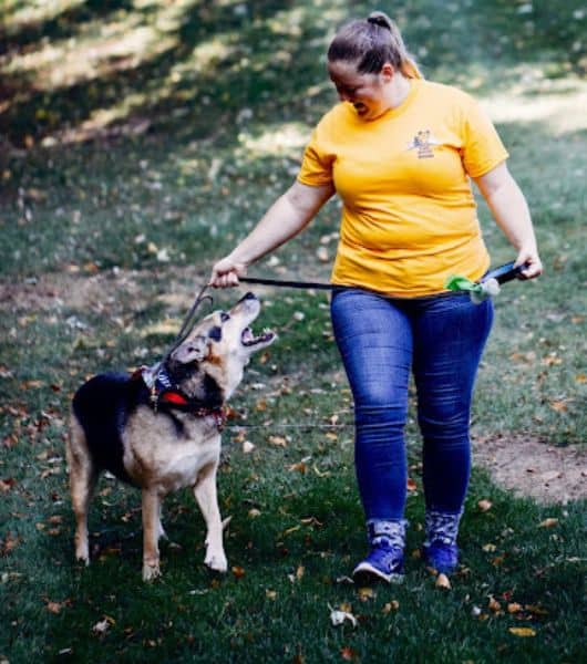 Paws Around Motown Dog Walking & Dog Training in Oakland County