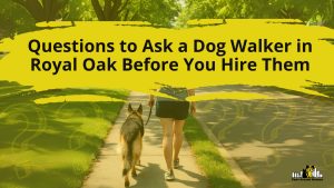 Questions to Ask a Dog Walker in Royal Oak Before You Hire Them