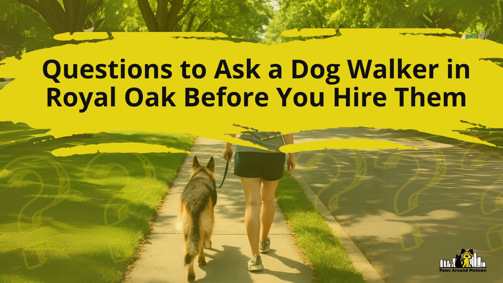 Questions to Ask a Dog Walker in Royal Oak Before You Hire Them
