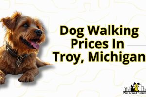Dog Walking Prices in Troy Michigan: What Every Pet Owner Should Know